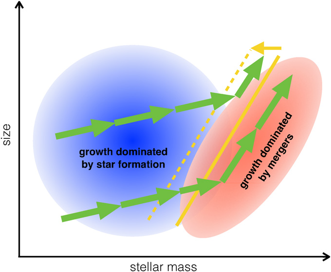 Size-mass relation of galaxies