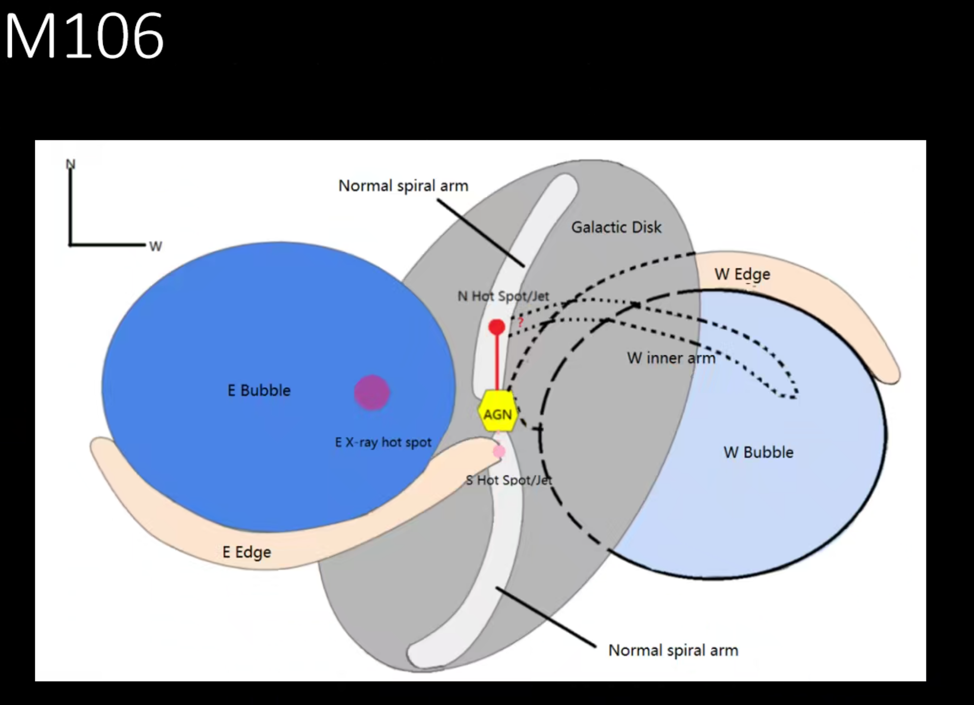 Fig1