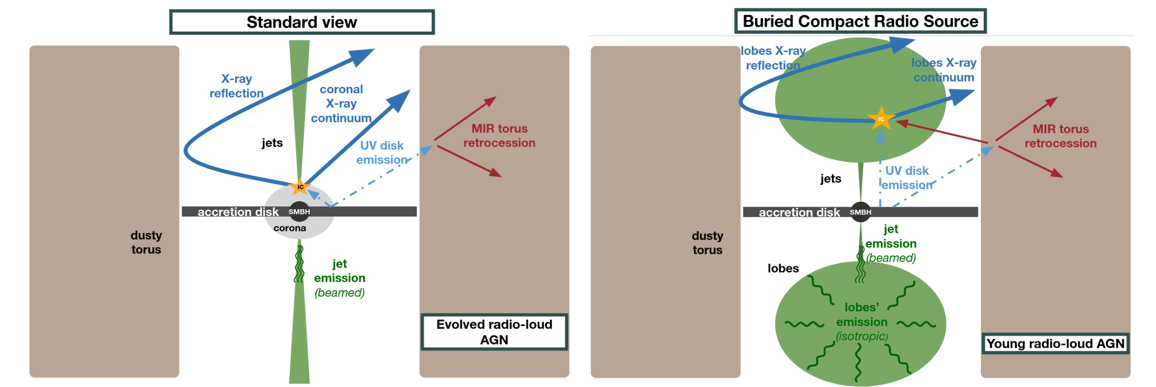 Fig1