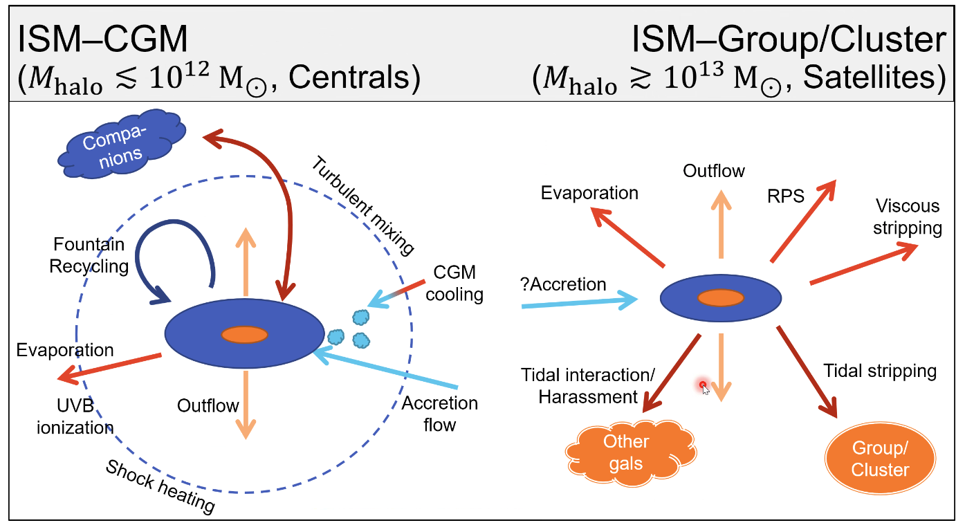 Fig1