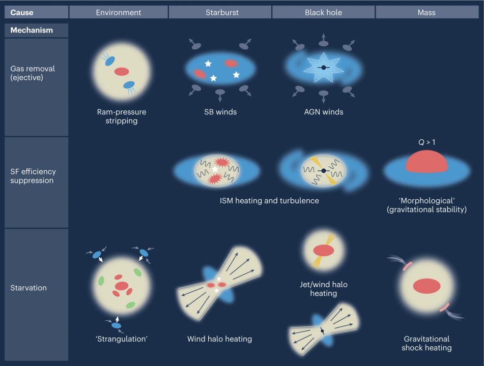 Causes and mechanisms of galaxy quenching