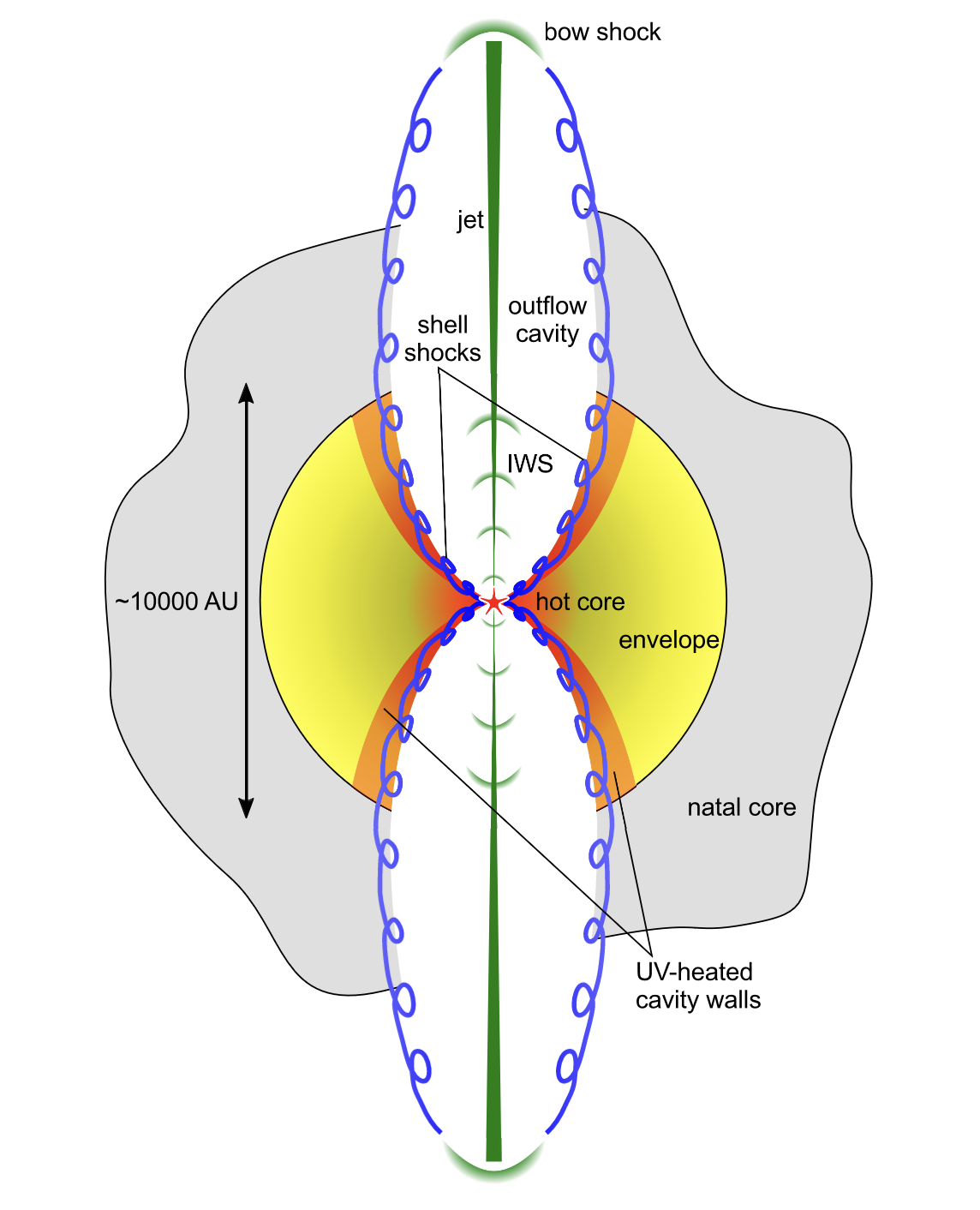 Fig6