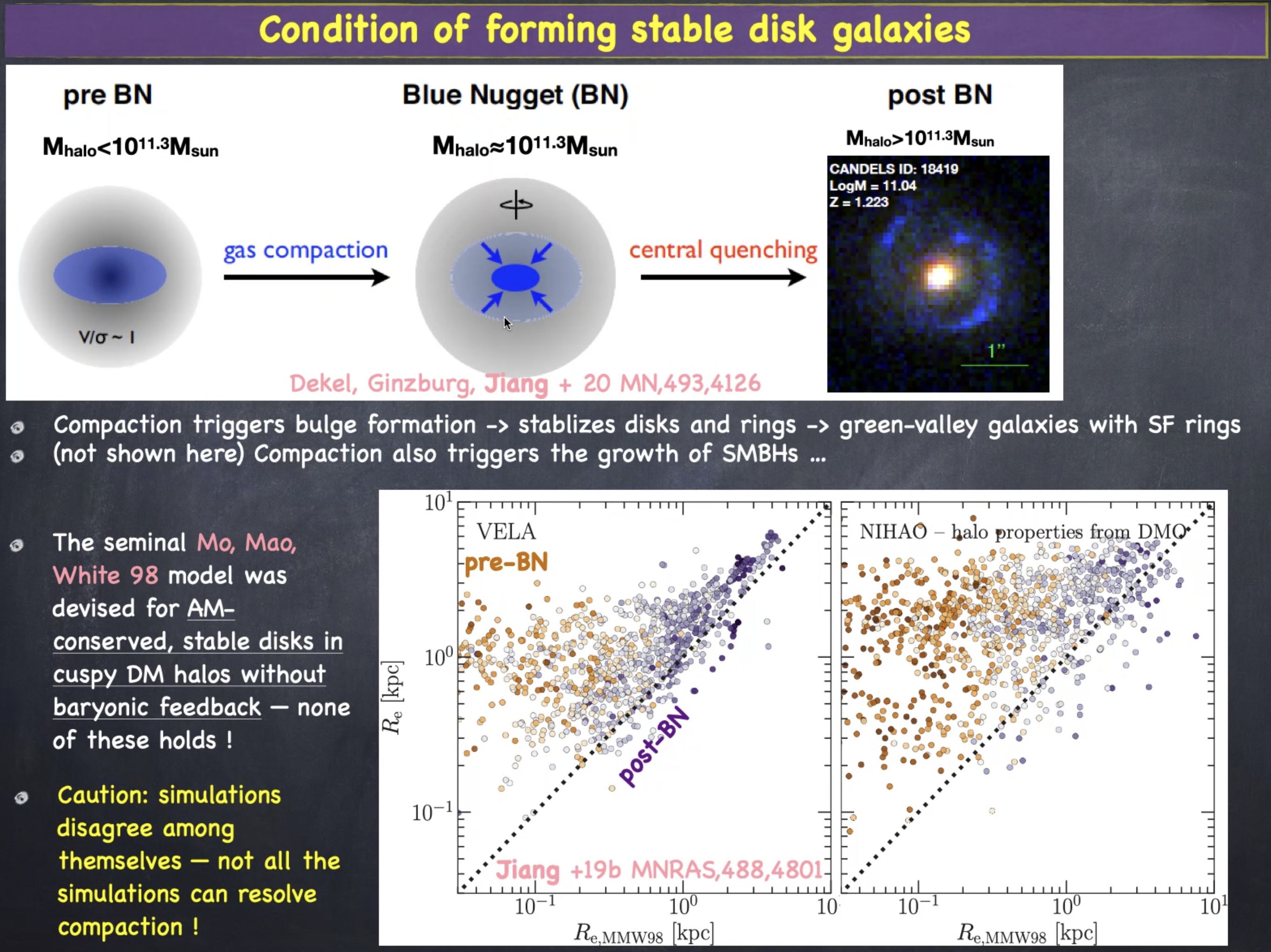 Fig6