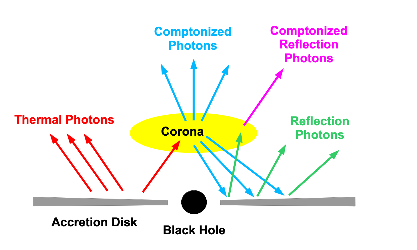 Fig7