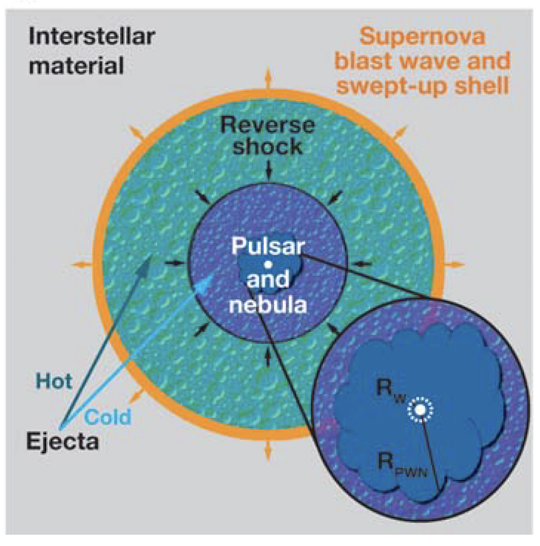 Fig1