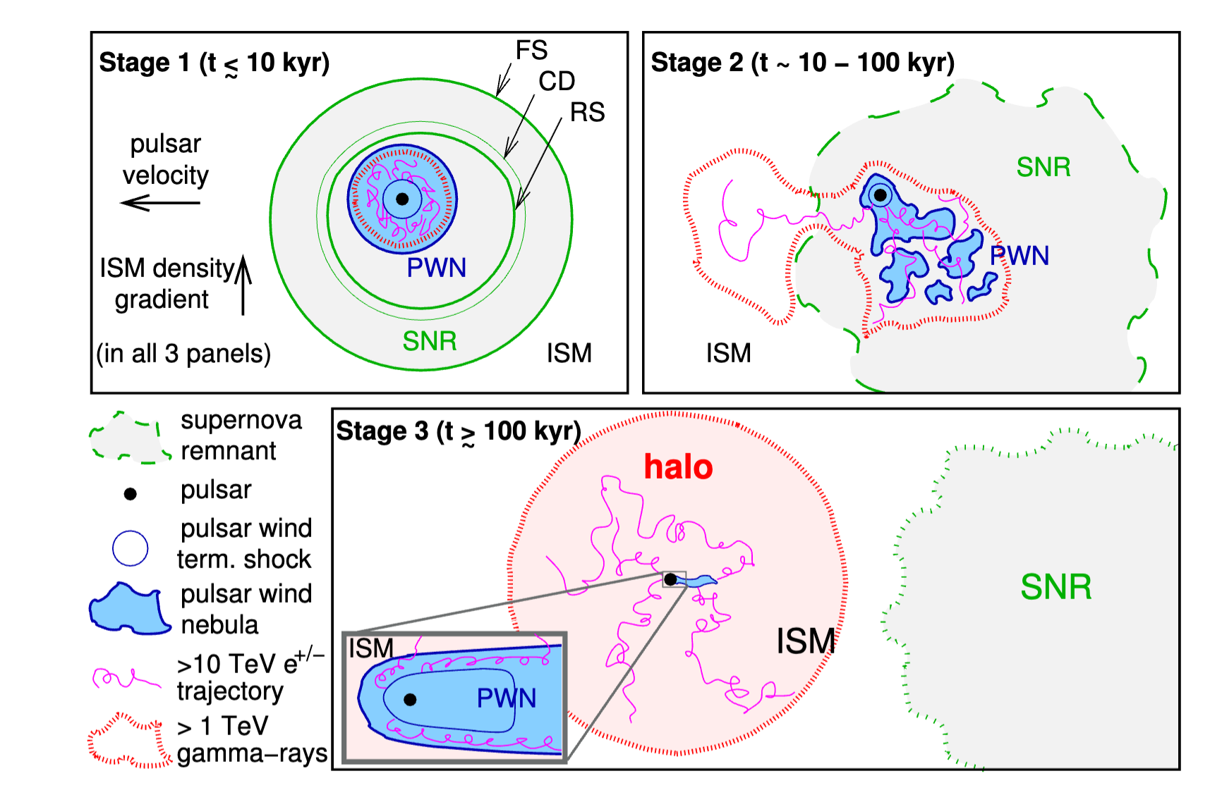 Fig2